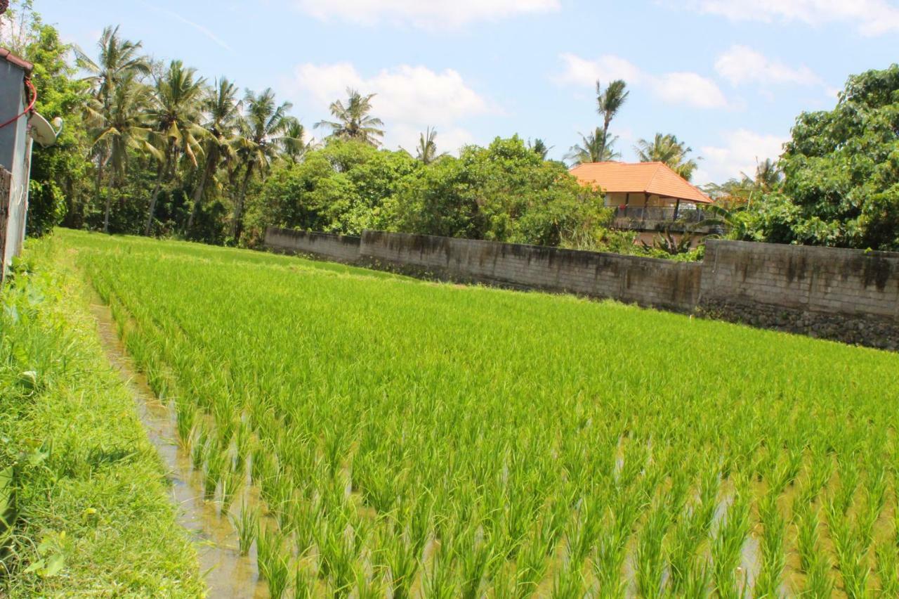 White Creative Villa Campuhan Ubud  Luaran gambar