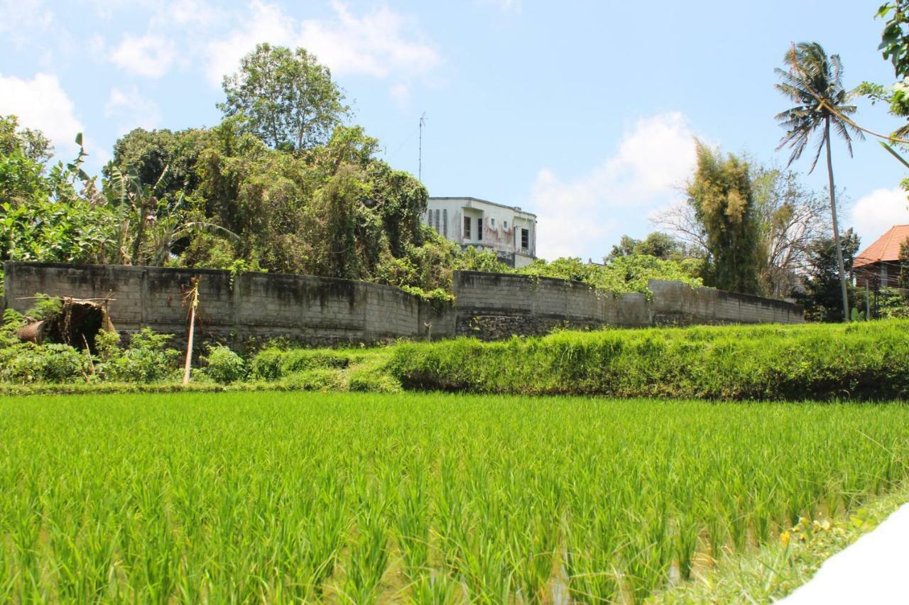 White Creative Villa Campuhan Ubud  Luaran gambar