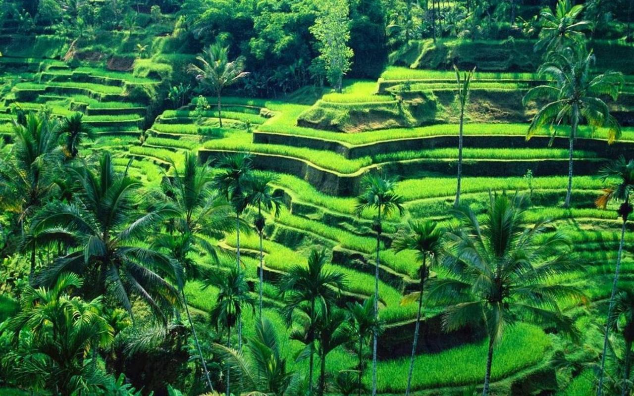 White Creative Villa Campuhan Ubud  Luaran gambar